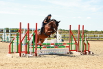 SBM_005603