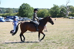 WJ6_8365