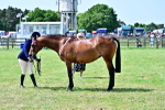 SBM_03863