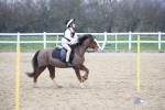 SBM_003908