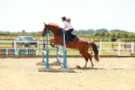 SBM_006356