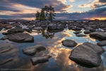 Sunset Bonsai Cove