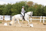 SBM_006558
