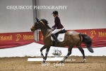 BPP_1641