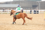 SBM_004359