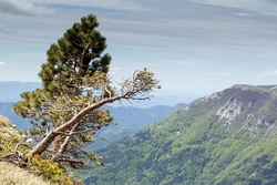 Vercors Font D'Urle