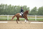 SBM_000608