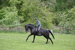 WJ6_3466