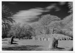Clava Cairns IR