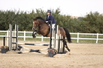 SBM_002006