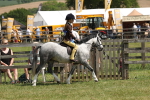 SBM_05392