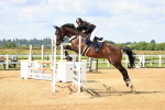 SBM_003323