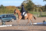 BPP_8002
