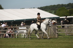 Class 26-30 - Mountain and Moorland Ridden portfolio