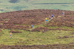 Ennerdale -4