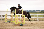 SBM_024355