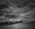 CLOUDS AND WHEAT
