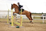 SBM_026885