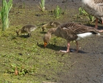 20110521-IMG_5361