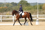 SBM_018586