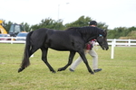 DSC06005