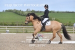 BPP_5797