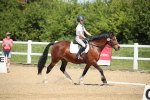 SBM_008804