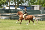 SBM_06766