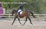 BPP_6769