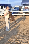 SBM_09678