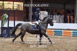 BPP_8068