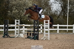 Cls 5 Foxhunter and 1.20m Open portfolio