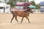 SBM_17035