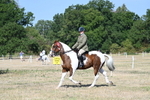 WJ7_3241
