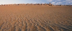 Pinnacles 12