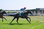 150726-Race 5-Naval Light-3549