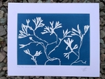 'High Tide' One of a kind original cyanotype