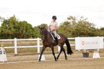 SBM_006366