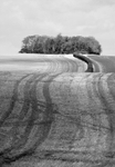 The Land portfolio