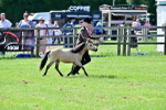 SBM_03567