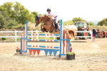 SBM_000561