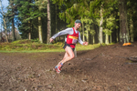Glentress-1033