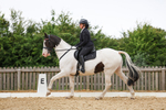 Pendarves Summer Dressage Series 08.06.2025 portfolio