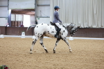 SBM_000704
