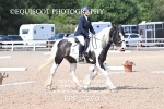 BPP_7270