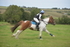 RAY_9090