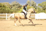 SBM_008863