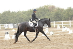SBM_004004