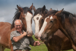Horseman