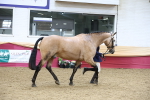 SBM_23659